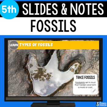 Fossils Slides and Notes Worksheet