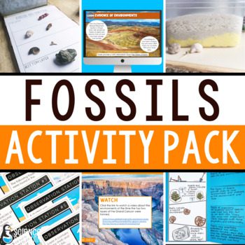 Fossils Activity Pack