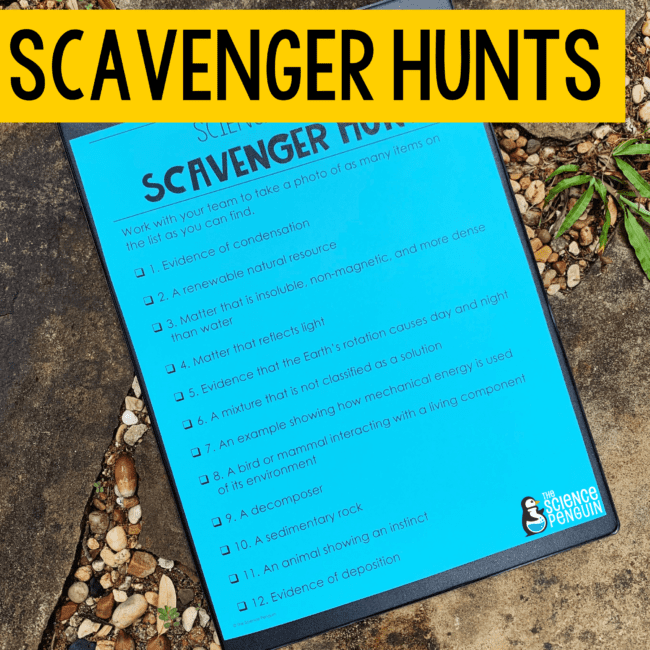 Scavenger Hunts