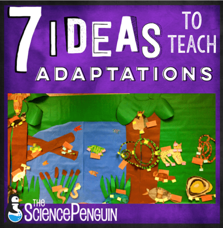 7 ideas to teach your students about adaptations-- projects, free cards, resources, and ideas