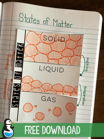 States of Matter Fold-up