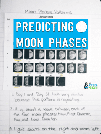 Moon Phases Project FREEBIE