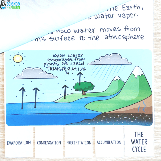 water cycle projects for 7th grade