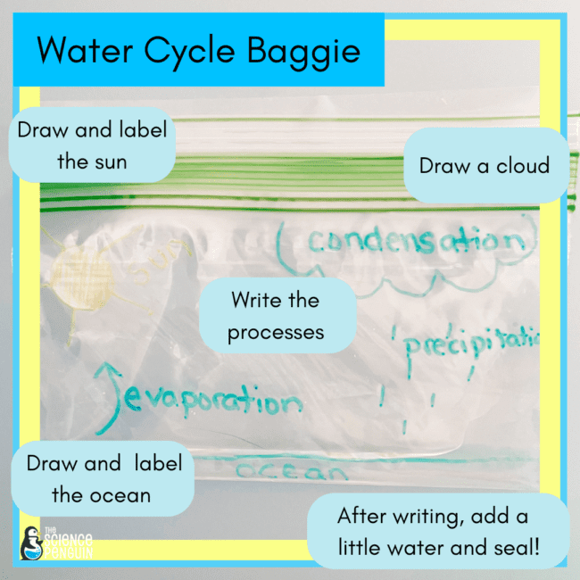 water cycle projects for 7th grade