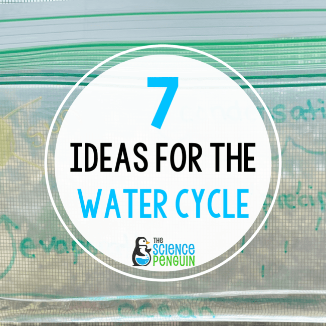 7 Ideas for the Water Cycle