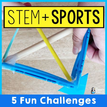 STEM Sports: End of the Year Fun