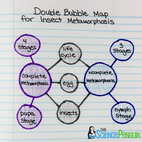 Using Thinking Maps in Science: Double Bubble Map