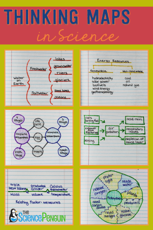 Using the 8 Thinking Maps in Science: Examples and Pics