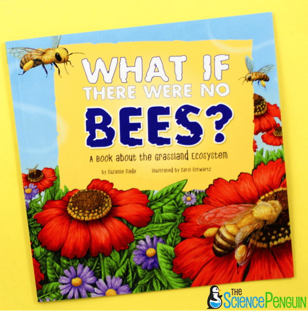 Picture Book Science Lesson: What if There Were No Bees? and Ecosystems