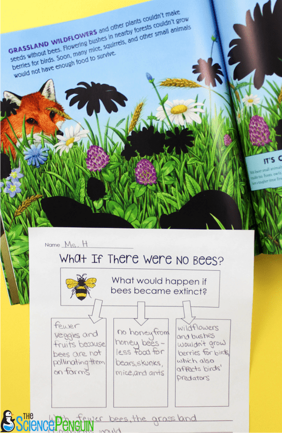 Picture Book Science Lesson: What if There Were No Bees? and Ecosystems