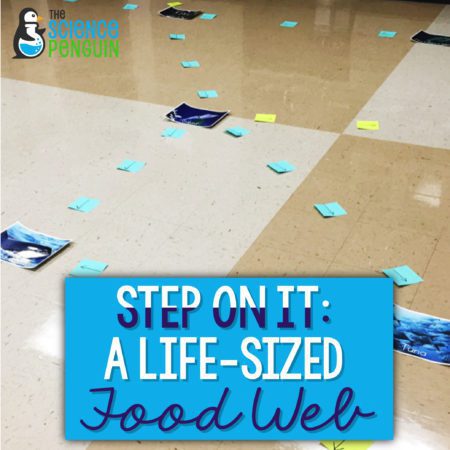 Step on it! A life-sized food web (free printables!)