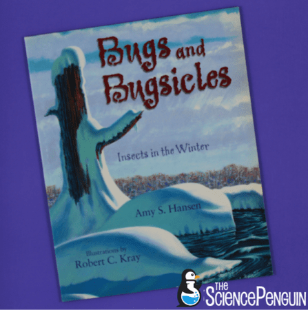 Activity ideas for Bugs and Bugsicles-- perfect for winter unit!