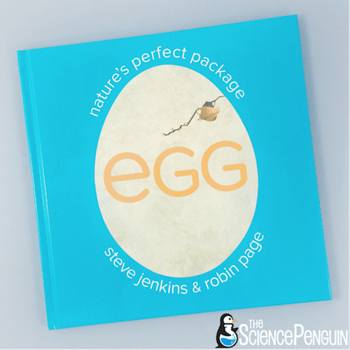 Egg: Nature's Perfect Package