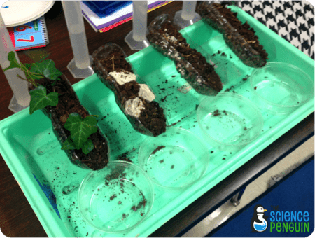 Erosion Experiment: testing soil erosion in different landscapes