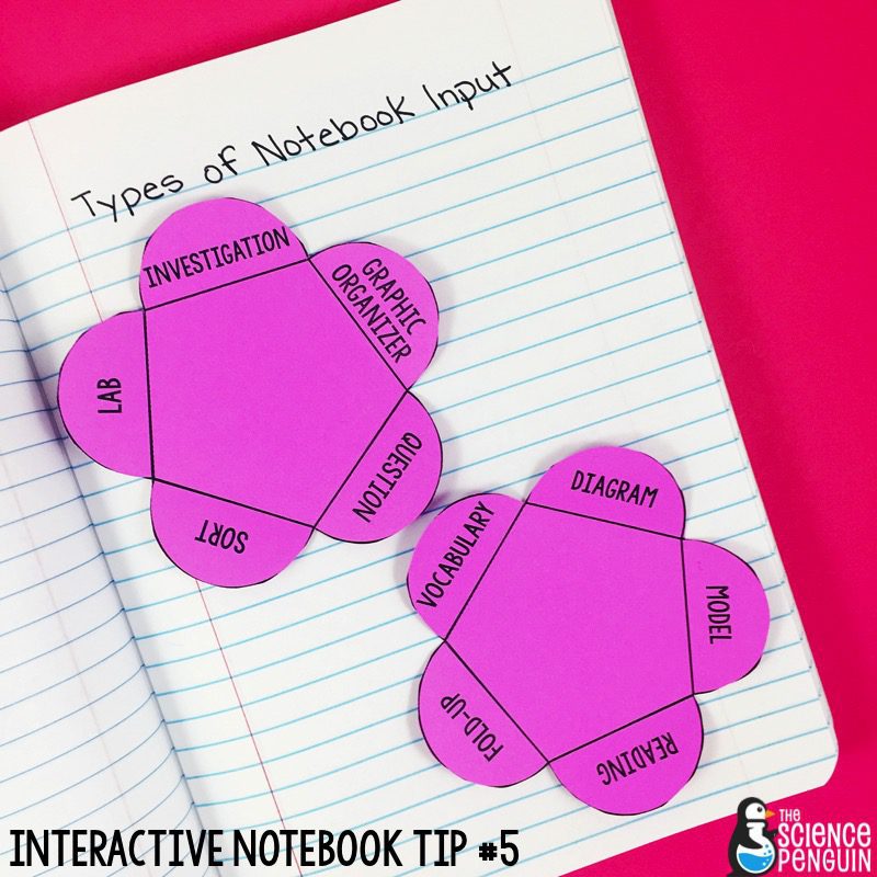 Interactive Science Notebook Tips: Input