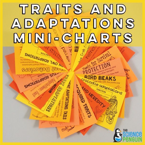 Traits and Adaptations Mini-Charts