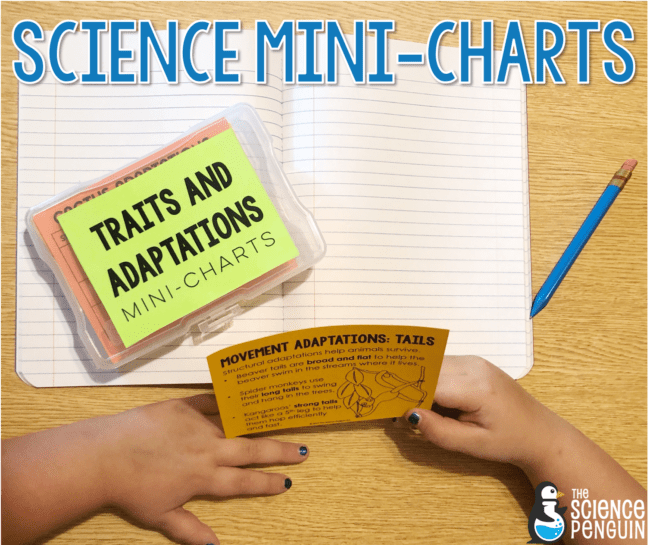 Science Mini-Charts: review cards at the tip of your fingers