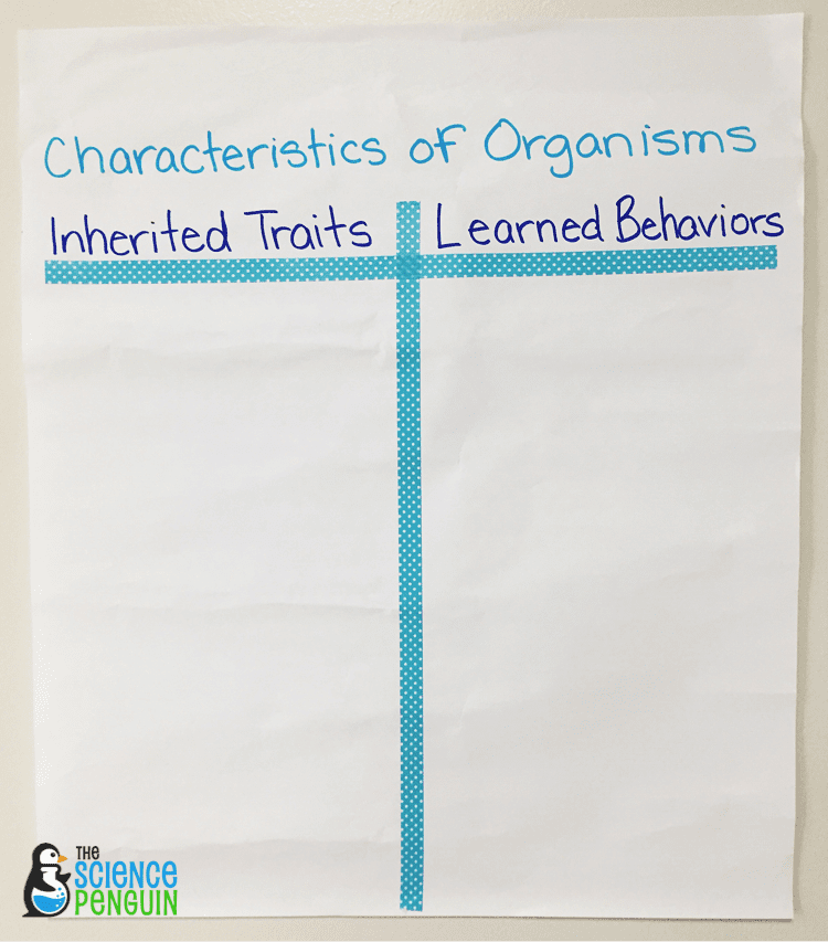 Collaborative Anchor Charts for Science Vocabulary: inherited traits and learned behaviors example