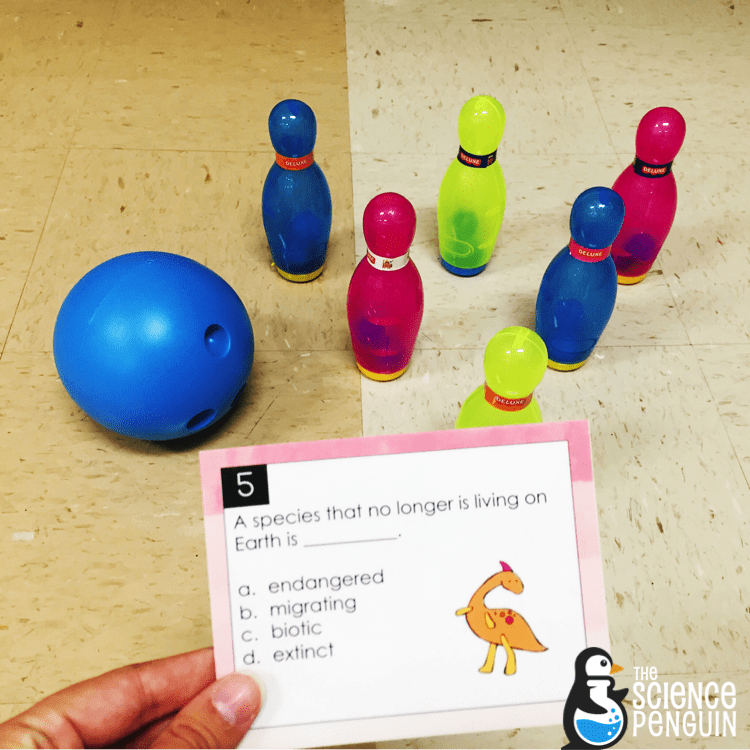 Science Task Card Review Game: Bowling!