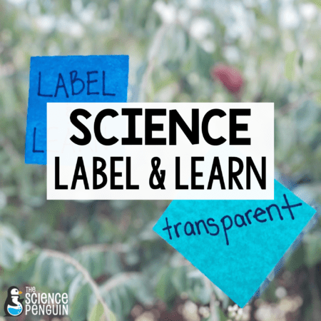 Science Label & Learn Room Decor