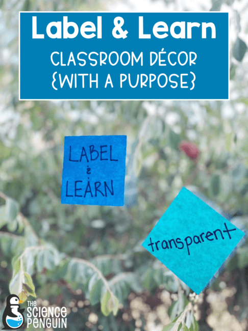 Label and Learn: Science Classroom Decor with a purpose