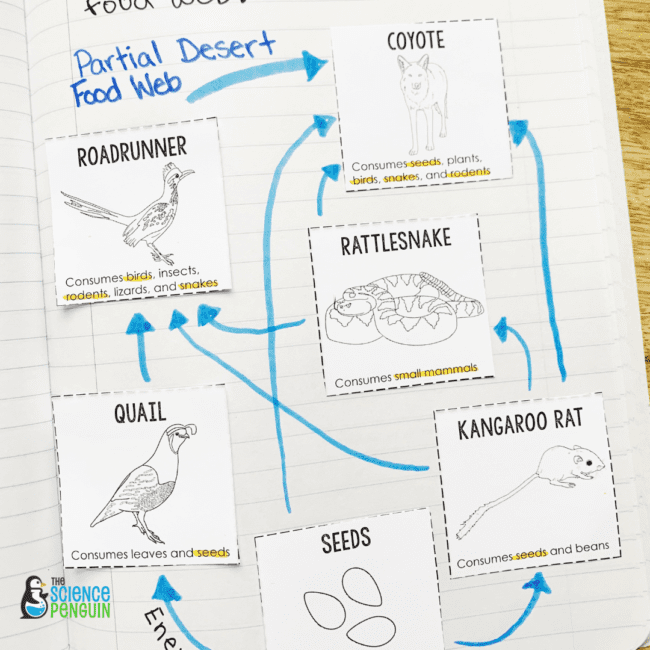 Food Webs Cut and Paste Notebook