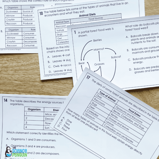 Food Webs Test Prep Task Cards