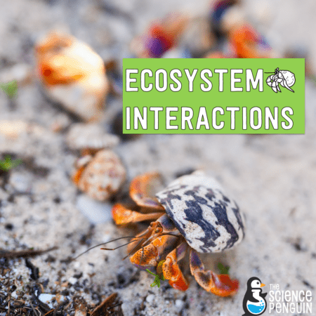 Ecosystem Interactions