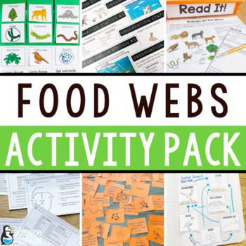 Food Webs Activity Pack