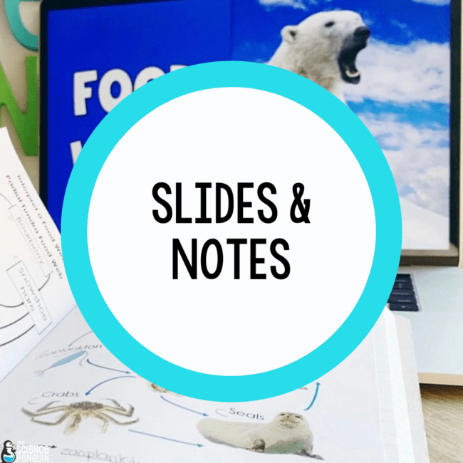 Slides & Notes