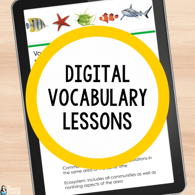 Digital Vocabulary Lessons