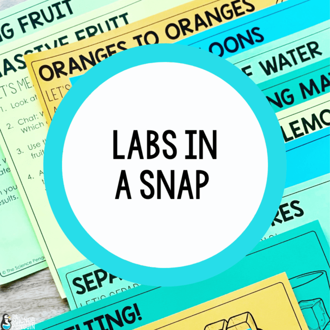 Labs in a Snap