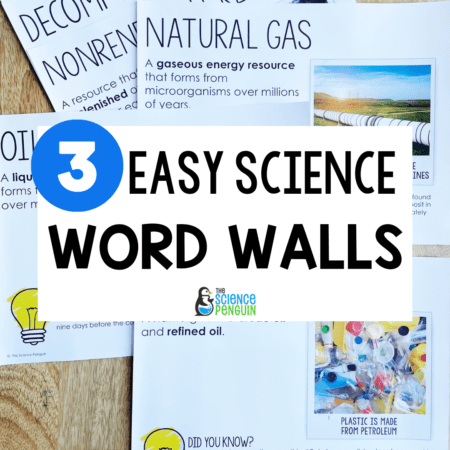 Science Word Wall for Kindergarten and First Grade